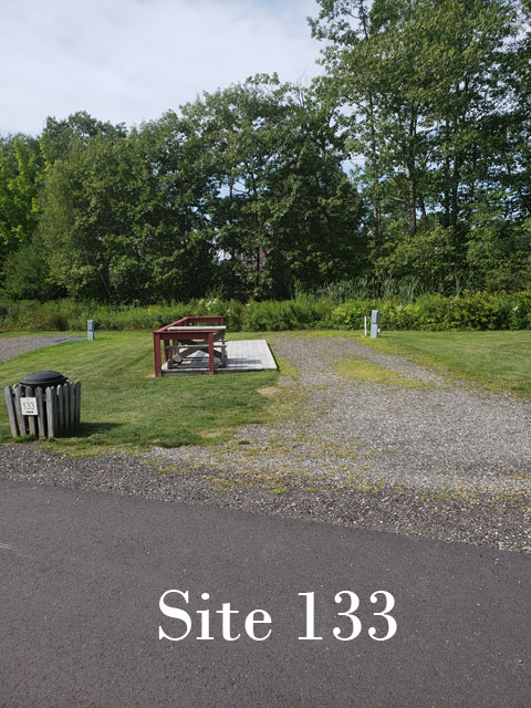 Site 133