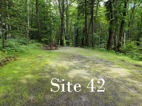 Site 42
