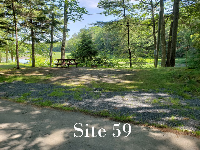 Site 59