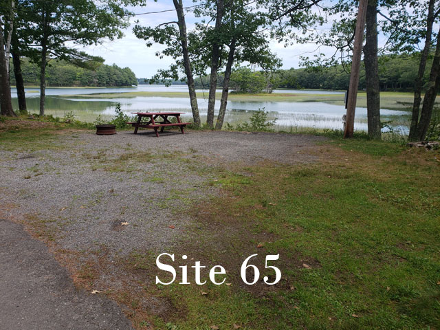 Site 65