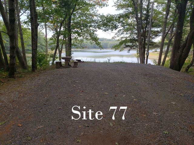 Site 77