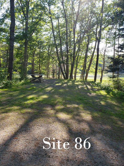 Site 86