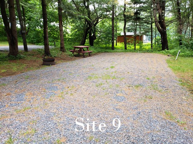 Site 9