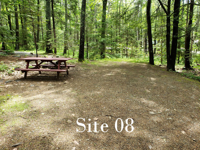 Site 08