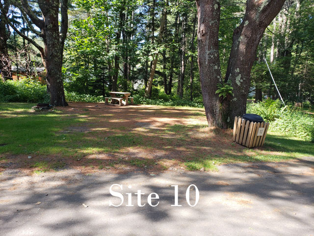 Site 10