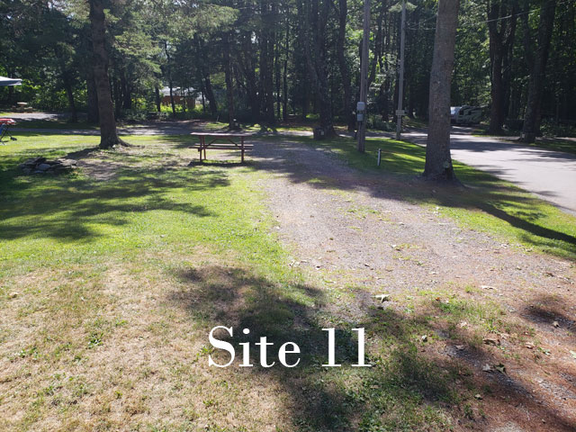 Site 11