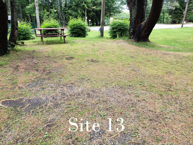 Site 13