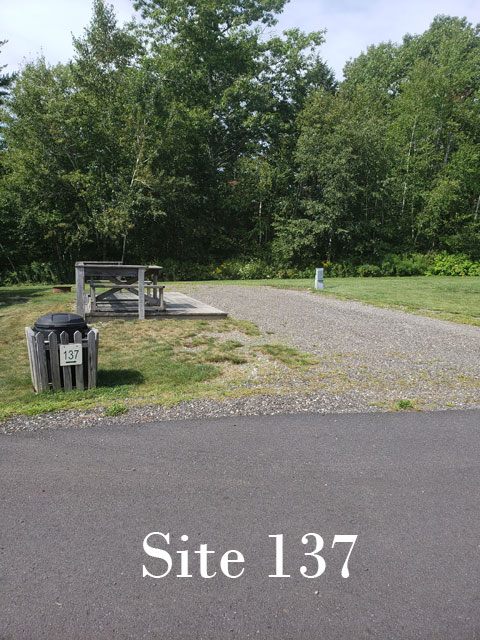 Site 137