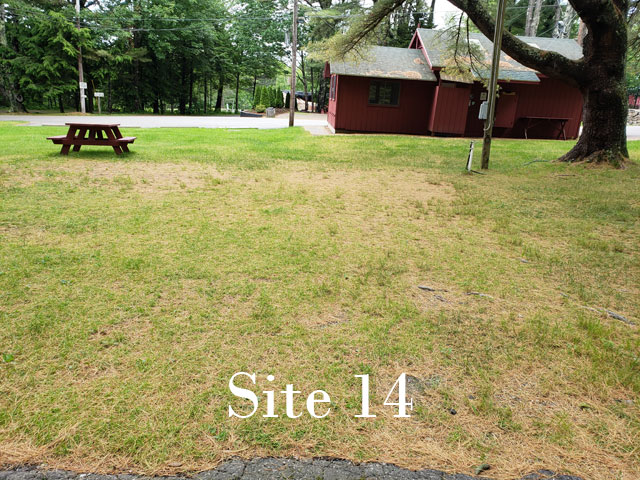 Site 14