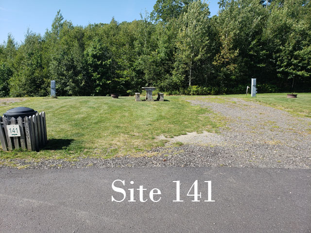 Site 141