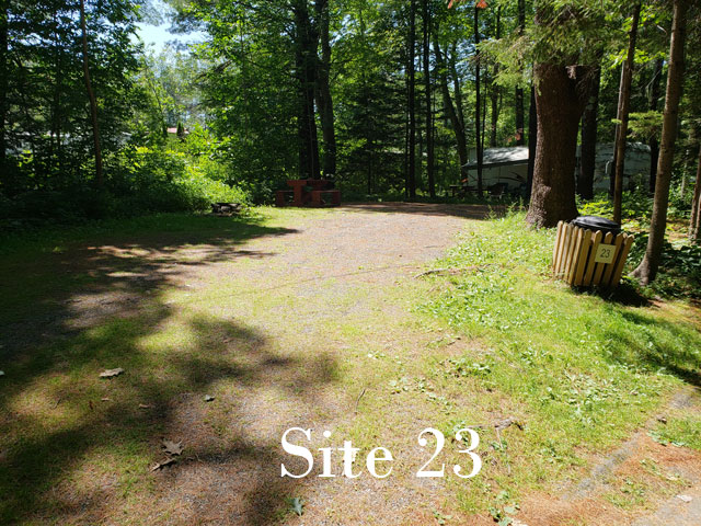 Site 23