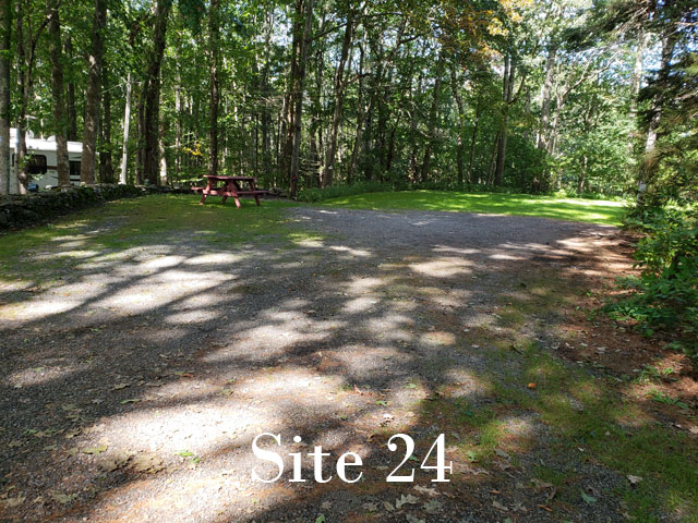 Site 24