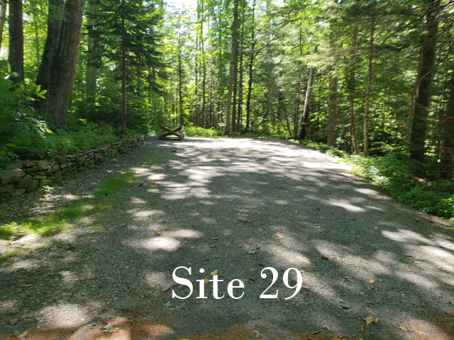 Site 29