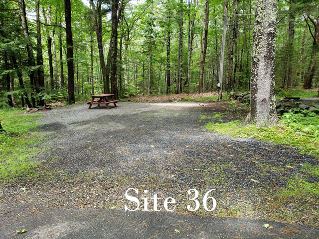 Site 36