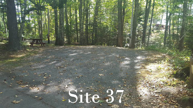 Site 37