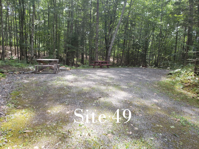 Site 49