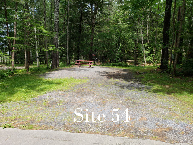 Site 54