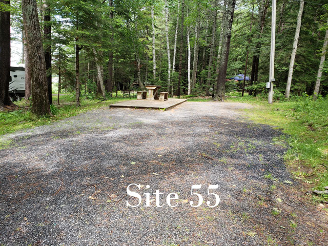 Site 55