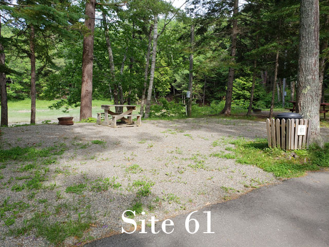 Site 61