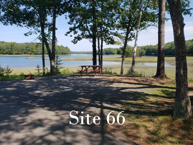 Site 66