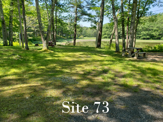 Site 73