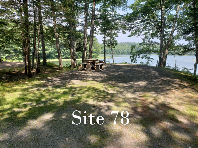 Site 78