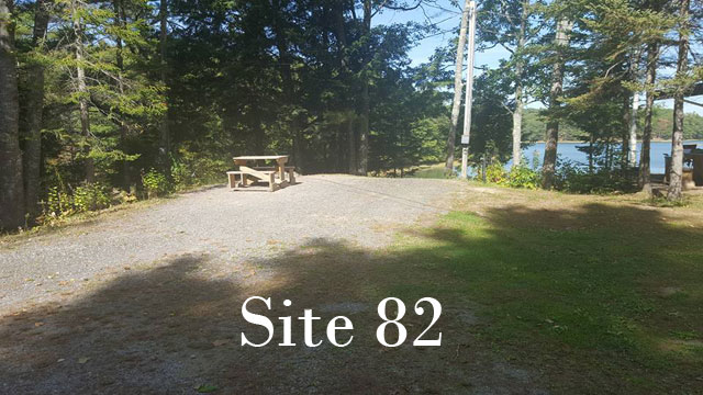 Site 82