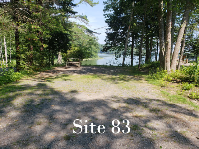 Site 83