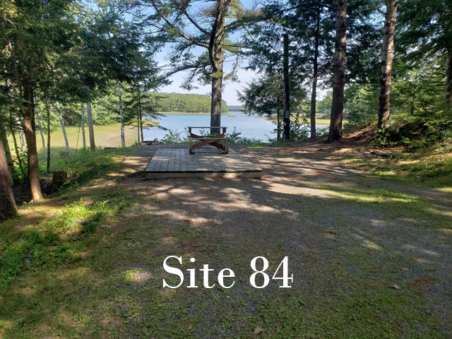 Site 84