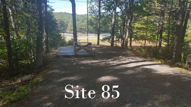 Site 85