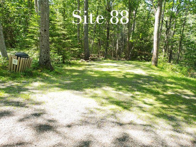 Site 88