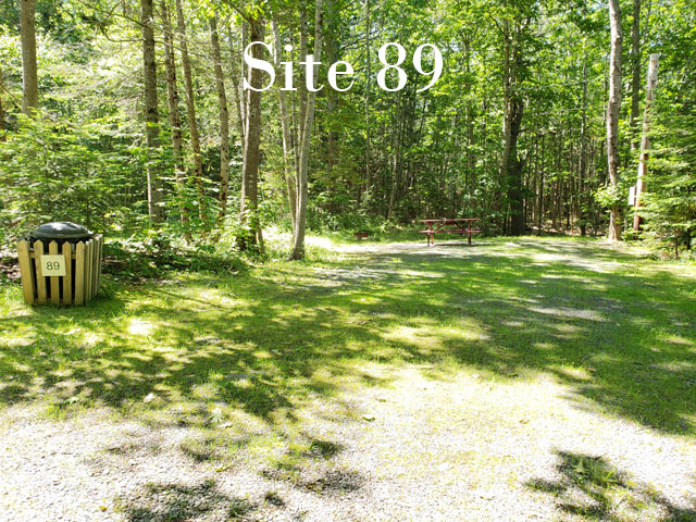 Site 89